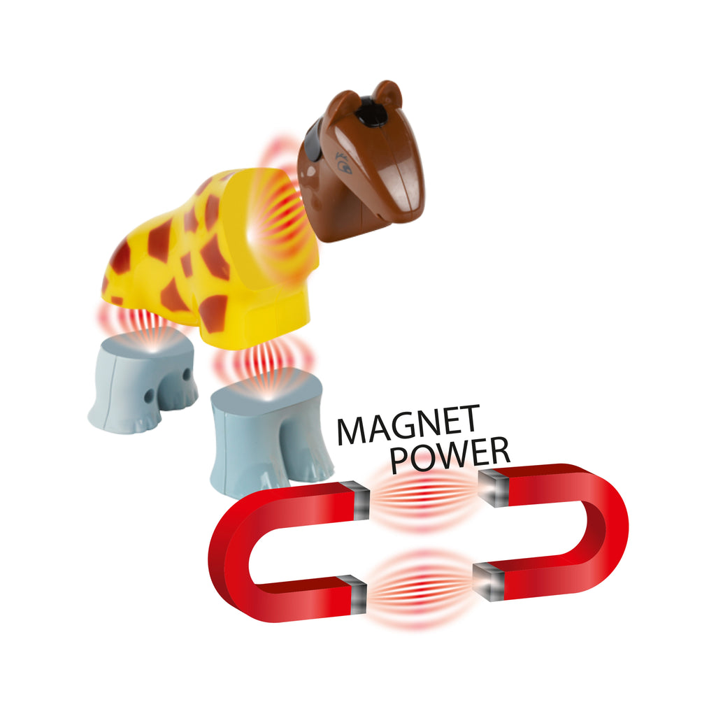 Magnetic Animal Puzzle