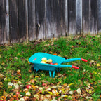 Wheelbarrow Play Set