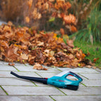 Leaf Blower