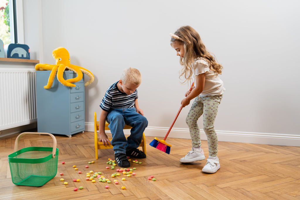 Large Broom