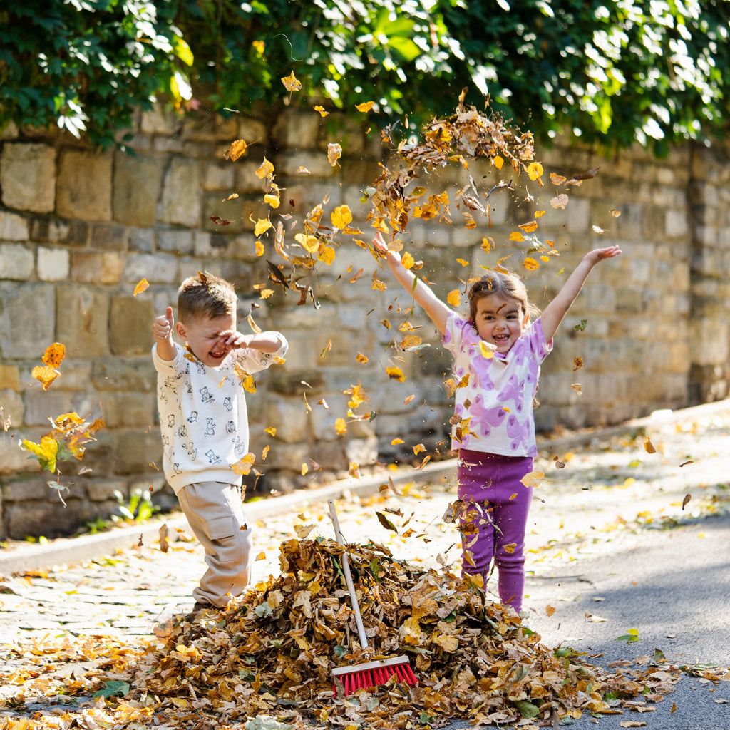 Medium Wooden Street Broom