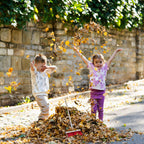 Medium Wooden Street Broom