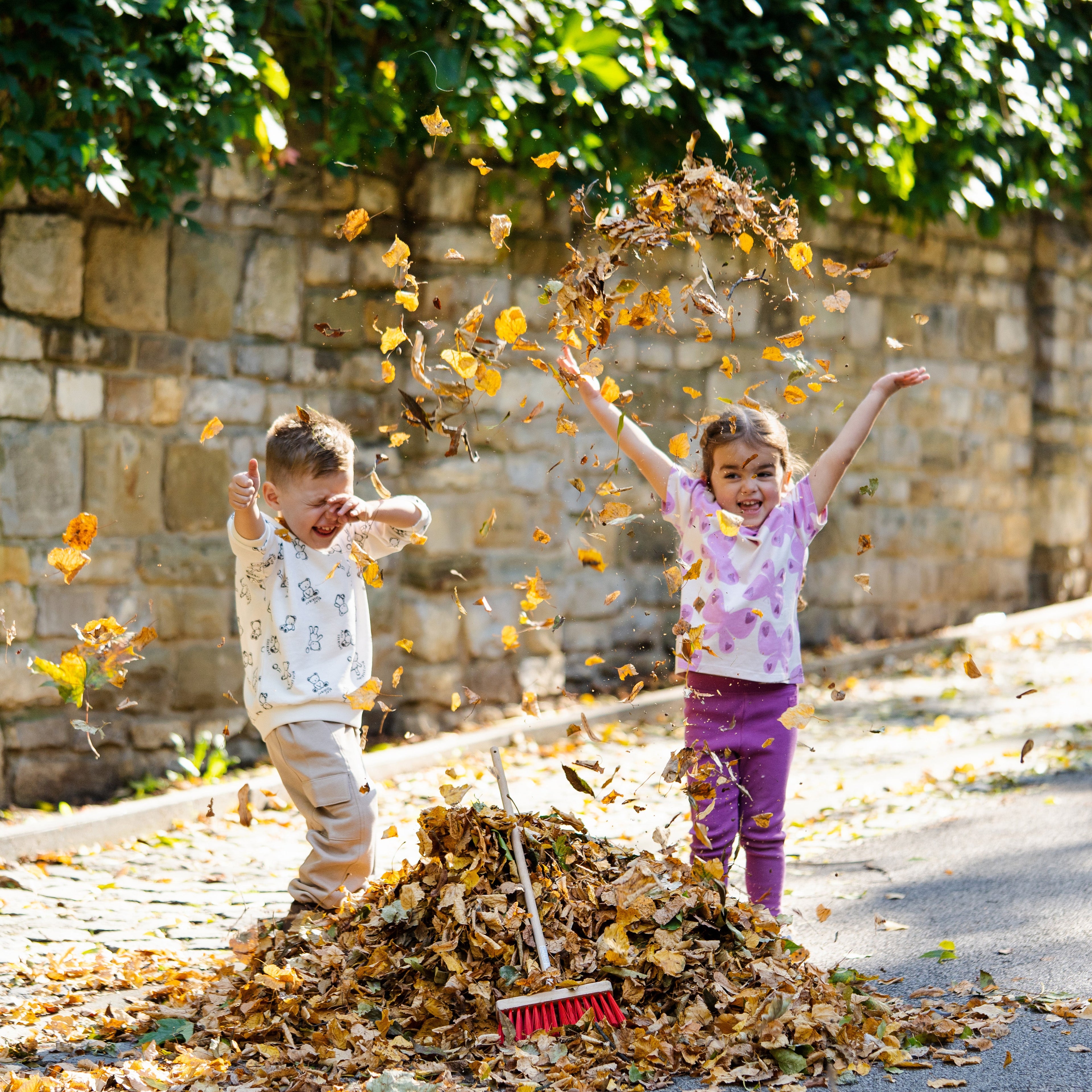 Medium Wooden Street Broom